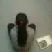sunb****